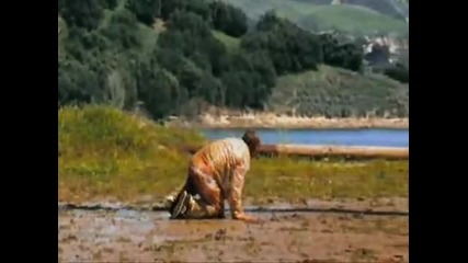 The Best of Jackass 