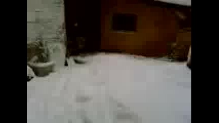 Сладко Чау - Чау Си Играе В Снега