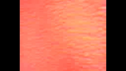 Видео - 0004 