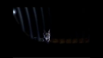Bmw M3 commercial_ _beast_