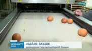 Защо цените растат, а производителите изнемогват