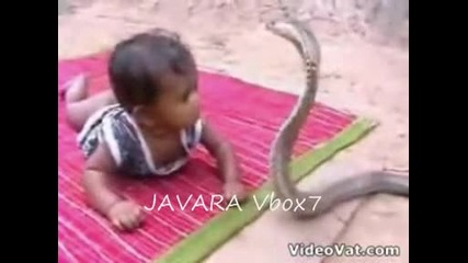 ужас кобра хапе бебе 