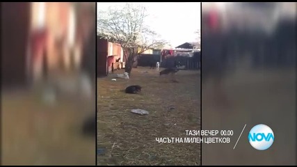 В „Часът на Милен Цветков” на 7 април очаквайте