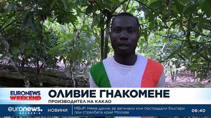 Шоколадовите яйца в Обединеното кралство са с до 63% по-висока цена от миналогодишната