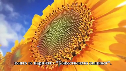 Златното сечение и редицата на Фибоначи #
