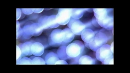 Bbc horizon 2011 what is reality trailer