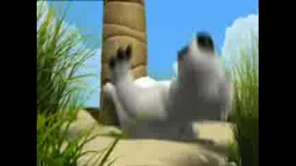 Funny Bear - Desert Island