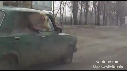 По пътищата в Русия!