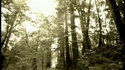Queens Of The Stone Age - Someone' s In The Wolf