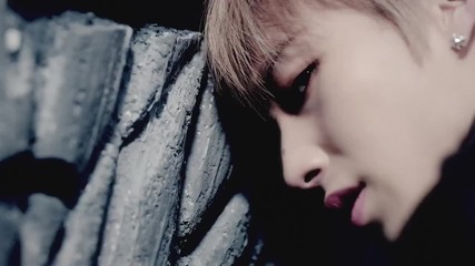 B. А. P - 1004 (angel) M/v