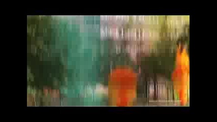 Реклама На Sony Bravia