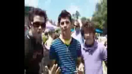 The Jonas Brothers - Parody