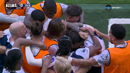Goal by Tottenham Hotspur