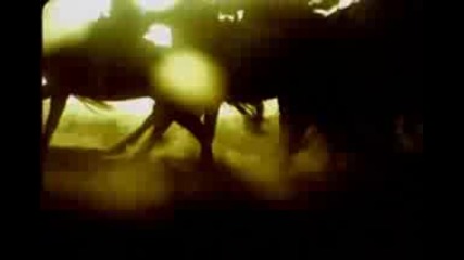 Era - Miseri Mani