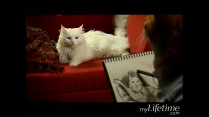 Catanic 