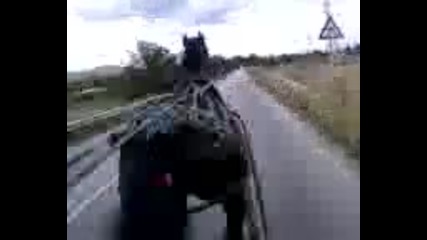 Resaci kone