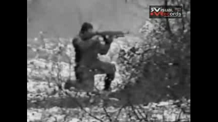 БМД № 421