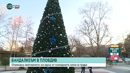 Младежи прерязаха кабелите на лампичките на коледната елха в Пловдив