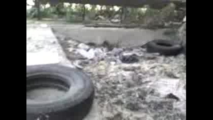 Mov00003.3gp