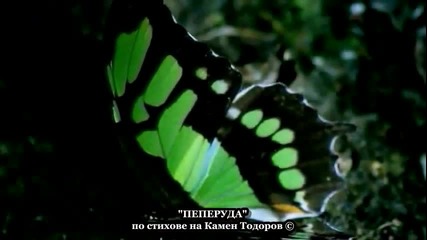 Камен Тодоров - Пеперуда (поезия)