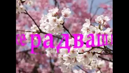 Чрд