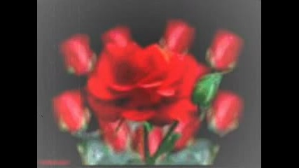 Elvis Costello - She