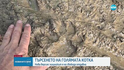 Хищникът в Шуменското плато е изпуснат от собственика преди два - три месеца