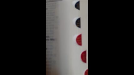 Vid_20230401_154129.mp4