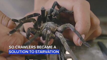 Adventurous bites: Dare to eat these hairy crawlers?
