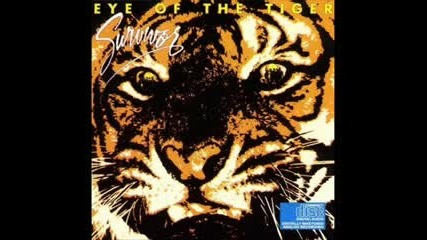 Eye Of The Tiger ( Metal Cover) - Ten Masked Men