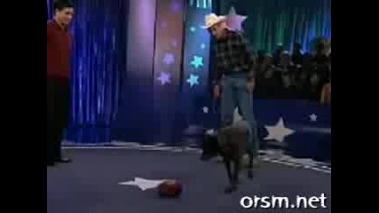 Много Умно Куче 