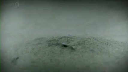 Kaskade - Angel On My Shoulder 