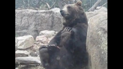 Щастлива Мечка 