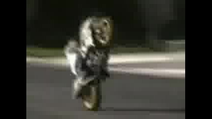 Мотори
