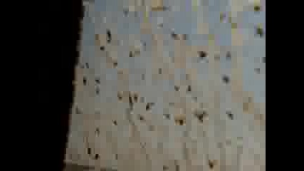 Офроуд 58 