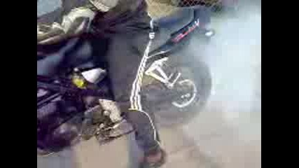 Bandita :d