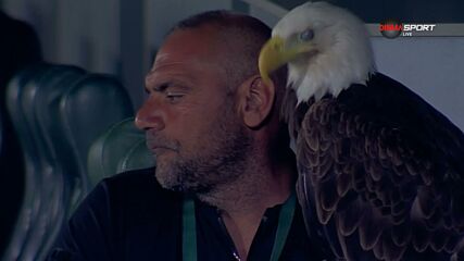 Най-важното преди Лудогорец - Славия