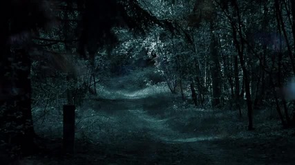 Jesse Cook - Into The Dark