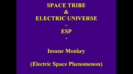 Space Tribe _ Electric Universe ~ Esp - Insane Monkey (esp, Jun. 2006)