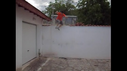 monkey martos