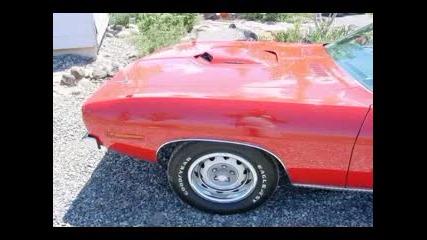1970 Hemicuda