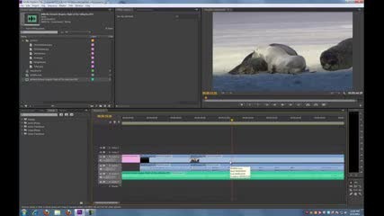 ---adobe Premiere Pro Cs6 Tutorial- Basic Editing