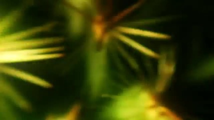 Marc Houle - Bink (undercover Lp)