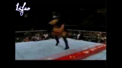 Undertaker M V