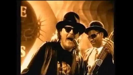 Zucchero - Per colpa di chi 