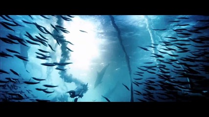 Oceans - Fish Frenzy H D 