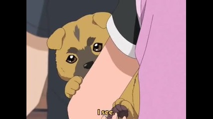 Pretty Cure - Епизод 22