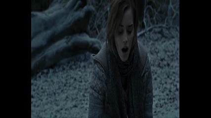 Don't trust me - Harry Potter / Twilight