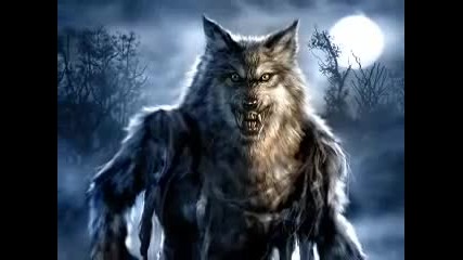 Wolf Man Digital Paint 