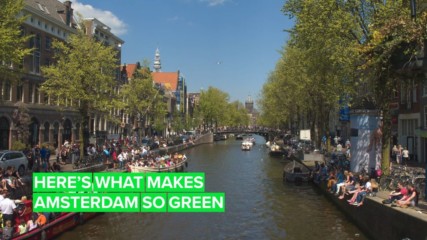 Amsterdam makes going green look easy